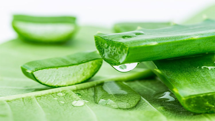 Bác sĩ da liễu gợi ý 3 cách nhanh nhất loại bỏ vết cháy nắng