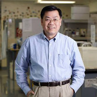 Giáo sư gốc Việt thành danh ở Australia
