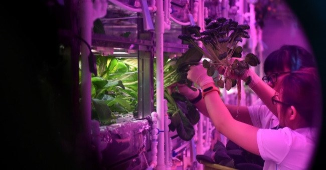 Sống 200 ngày ngoài không gian: Bạn có dũng khí vượt qua thử thách?