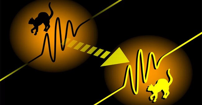 Lần đầu tiên trong lịch sử thí nghiệm thành công "dịch chuyển tức thời" vào vũ trụ