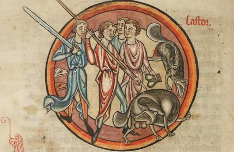 Phụ nữ Trung cổ tránh thai bằng cách sử dụng tinh hoàn loài chồn. 