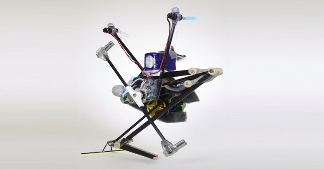 Chế tạo thành công robot tí hon có thể nhảy gấp 10 lần chiều cao cơ thể