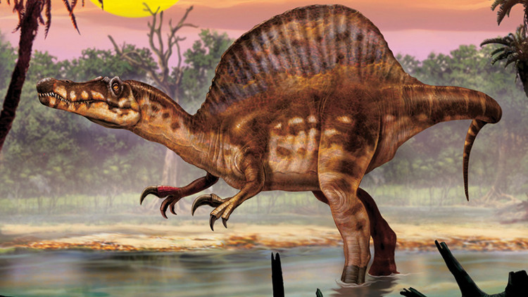 Khủng long Spinosaurus.