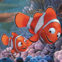 Sự thật về "Finding Nemo": Cá bố Marlin sẽ "chuyển giới" ngay sau khi cá mẹ qua đời