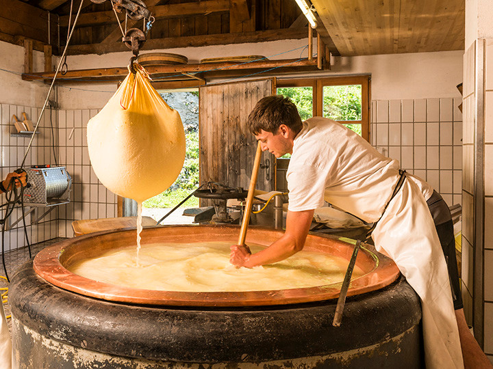 Sản xuất phô mai