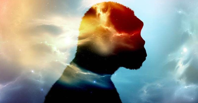 Phát hiện loài người "ma" cổ đại từ nước bọt