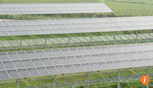 Các tấm pin mặt trời lão hóa sẽ là thách thức môi trường lớn với Trung Quốc
