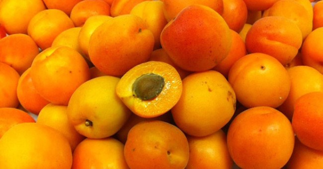 Những “siêu phẩm” kỳ lạ của bậc thầy thực vật Burbank