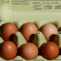 Hà Lan thu hồi nhiều triệu quả trứng gà nhiễm độc