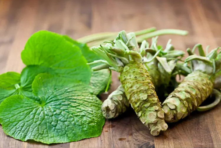 Bạn nghĩ mình đang ăn wasabi 