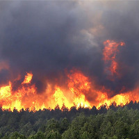 Nga phát triển mìn chống cháy rừng