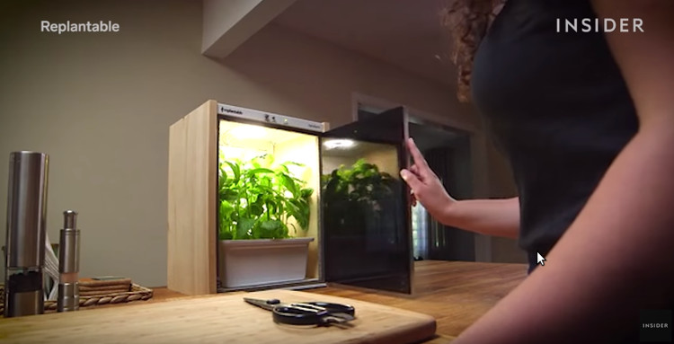 Thiết bị trồng rau không cần chăm bón.