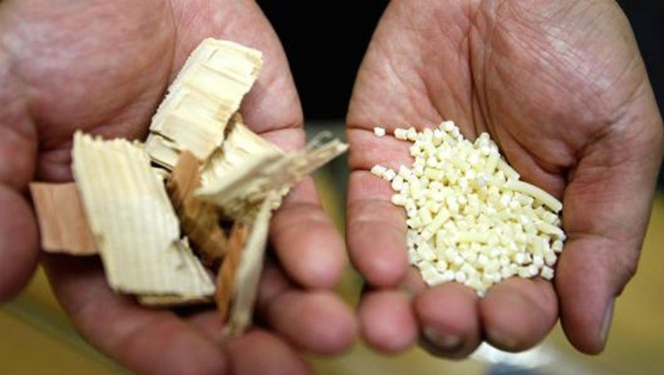 Nhật Bản muốn lấy gỗ làm phụ tùng ô tô cho nó nhẹ