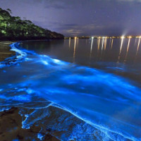 Bờ biển phát sáng ảo diệu tại quốc đảo Maldives