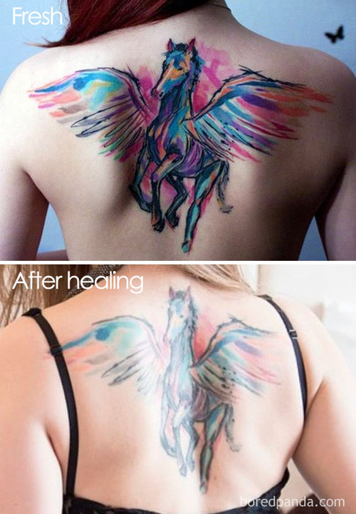Những hình ảnh này sẽ khiến bạn phải nghĩ lại trước khi muốn đi xăm