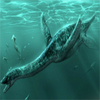Thủy quái khổng lồ nhất dưới biển Scotland: Xơi tái 7 con cá voi cùng lúc