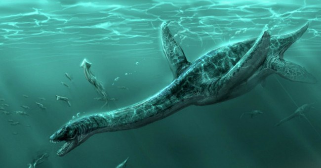 Thủy quái khổng lồ nhất dưới biển Scotland: Xơi tái 7 con cá voi cùng lúc