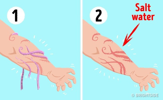43 bí kíp sinh tồn có thể tự cứu mạng bạn mỗi khi 