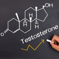 Đàn ông tăng testosterone sẽ "bốc đồng" hơn