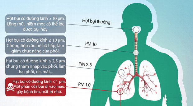 Loại bụi nguy hiểm gây biến đổi ADN và nhiều vấn đề nhãn tiền