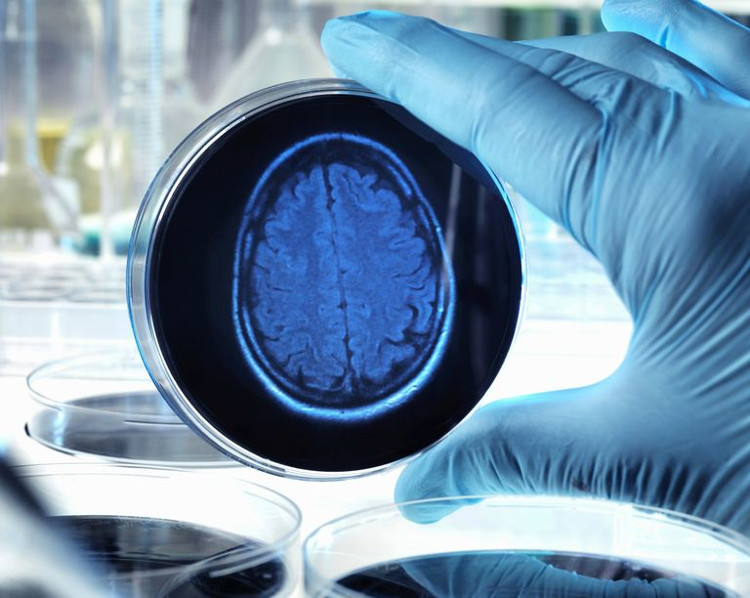 Các nhà khoa học kỳ vọng rằng công nghệ quét não phát triển sẽ cho họ những bằng chứng ngày một rõ ràng hơn