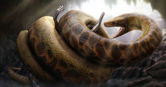 8 "quái vật" chúng ta nên cảm tạ trời đất vì chúng đã biến mất