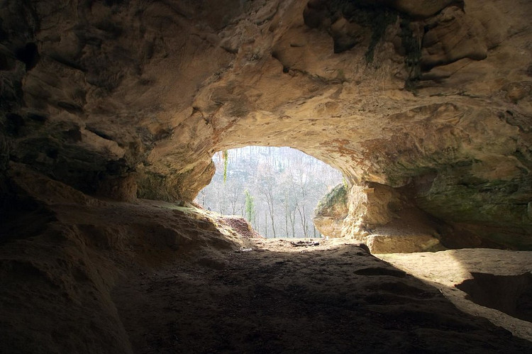 Người Neanderthal và người Sapiens không gặp nhau ở hang Vindia, Croatia