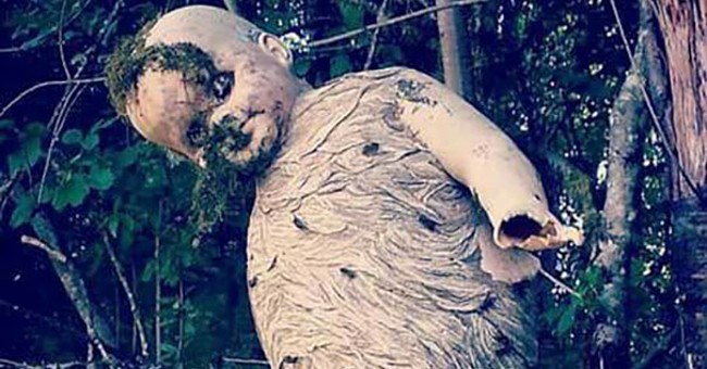 Những tấm ảnh này cho bạn thấy thiên nhiên chưa bao giờ đáng sợ đến như vậy