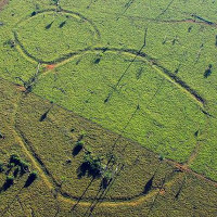 Giải mã những hình thù bí ẩn tại vùng rừng Amazon