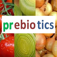 Prebiotic là gì và có tác dụng ra sao đối với sức khỏe của con người?