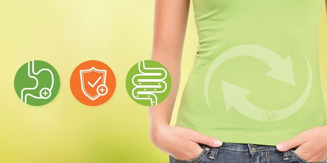 Prebiotic là gì và có tác dụng ra sao đối với sức khỏe của con người?