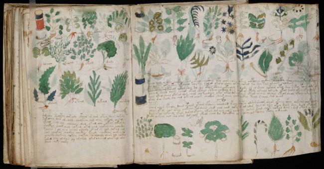 Giả thuyết mới về cuốn sách khó lý giải nhất trong lịch sử