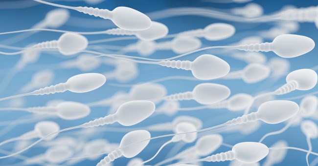 Bạn thực sự có thể mang thai dù không quan hệ tình dục chính thức