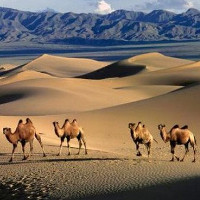 Hoang mạc và sa mạc khác nhau thế nào?