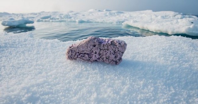 Tìm thấy thứ này ở Bắc Cực, giới khoa học đang lo lắng cực độ