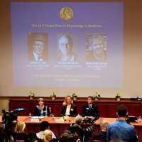 Ba nhà nghiên cứu đoạt giải Nobel Y học 2017 chia sẻ về vinh dự