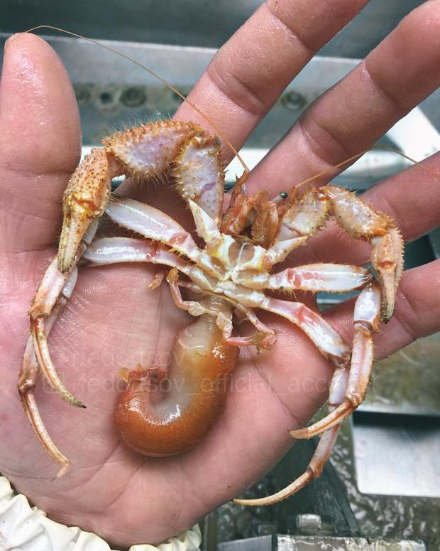 Bộ ảnh 