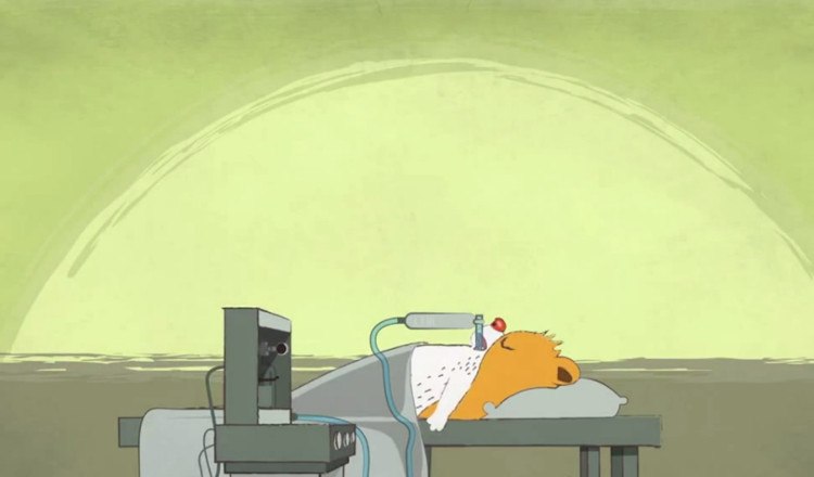 Khi gây mê, bạn bị mất ý thức, không thể cử động.