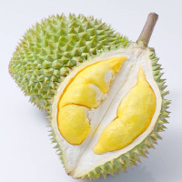 Nguồn gốc mùi hương độc đáo của quả sầu riêng từ đâu mà có?