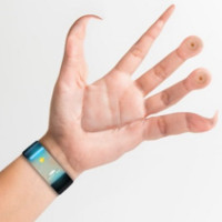 Đây là bàn tay con người nếu chúng được tiến hóa dành cho smartphone