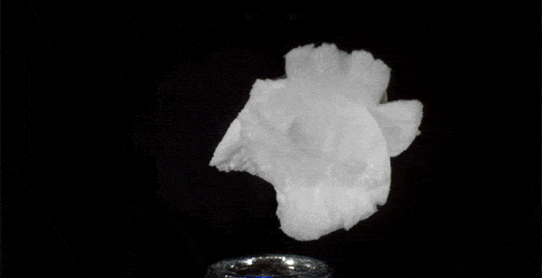 Quá trình biến đổi từ hạt ngô thành bỏng ngô.