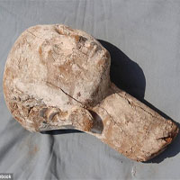 Khai quật tượng gỗ bán thân có niên đại 4.000 năm tại Ai Cập