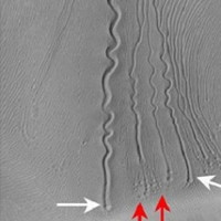 Giải mã những rãnh lượn sóng bí ẩn trên sao Hỏa