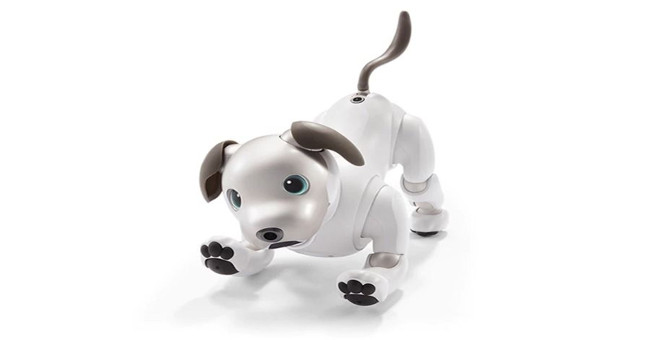 Robot cún con dành cho người yêu pet