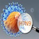 Virus cúm H7N9 độc lực cao tiềm ẩn nguy cơ gây đại dịch
