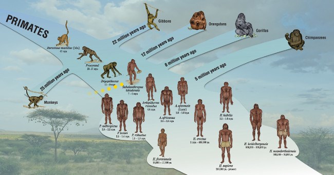 10 bí ẩn khoa học đang thách đố con người