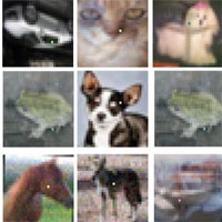 Chỉ cần đổi 1 pixel để đánh lừa AI nhận diện chó thành xe ô tô