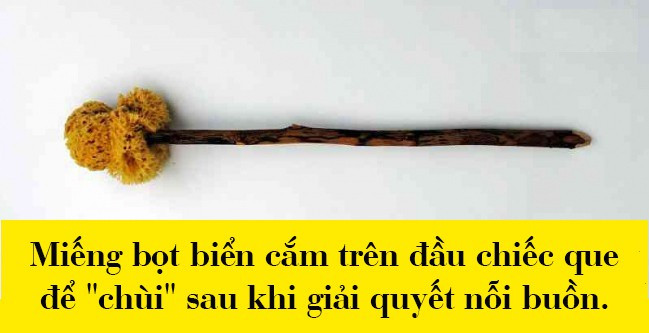 Biết người Hy Lạp cổ sống 