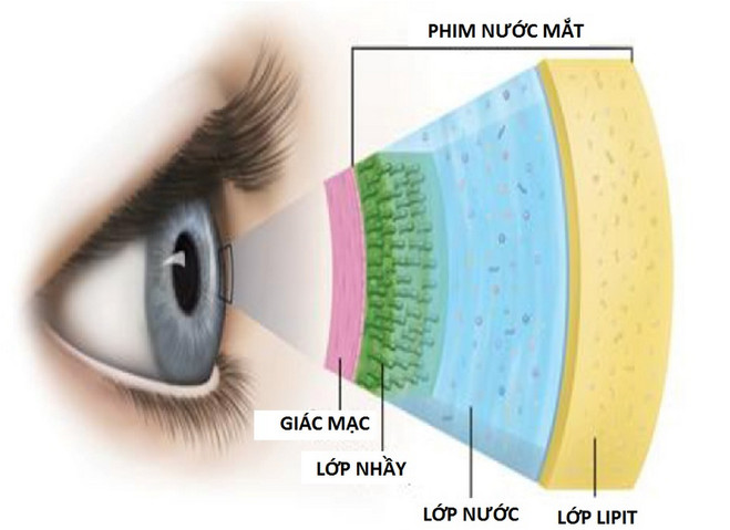 Bí mật nước mắt: Mỗi năm tạo 113 lít, nước giàu khóc nhiều hơn