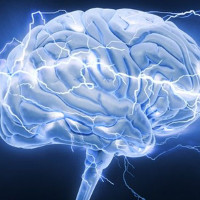 Hoạt động của con người ảnh hưởng đến não bộ thế nào?